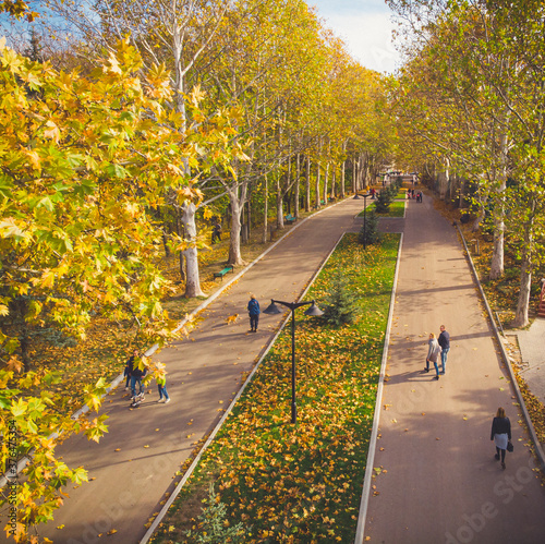 People walking in autumn park with golden leaves on sunny weather. Aerial view