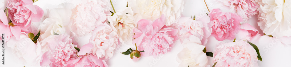 Romantic banner, delicate pink peonies flowers close-up. Fragrant pink petals