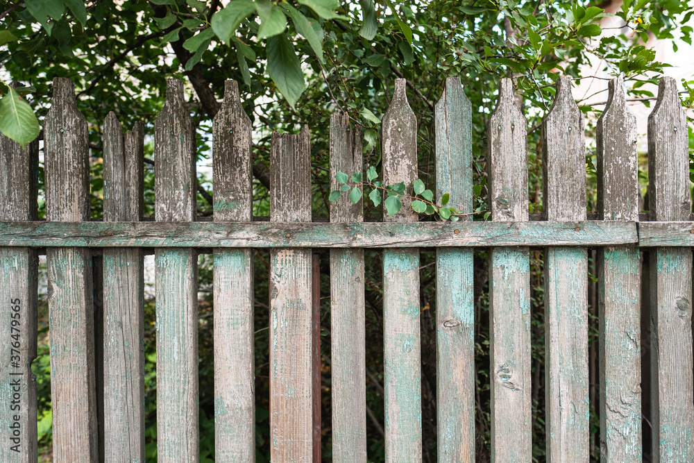 Old weathered green and grey wooden fence made of planks near to tree Old weathered green and grey wooden fence made of planks near to tree
