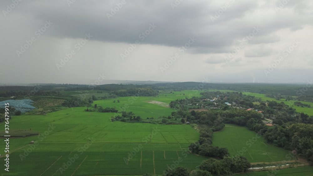 Top view of rice field land scape photo by drone Top view of rice field land scape photo by drone