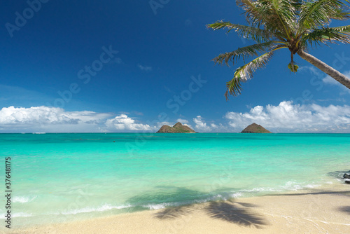 快晴のハワイ、ラニカイビーチとモクルアと椰子の木