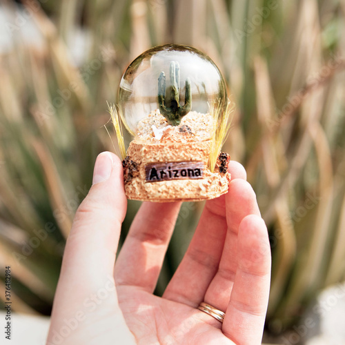 An Arizona snowglobe with saguaro cactus and an Aloe Vera plant in the background. The image shows the Arizona sun and makes a good image to promote travel. 