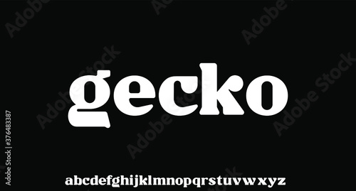 elegant lowercase font. luxury and unique alphabet	

