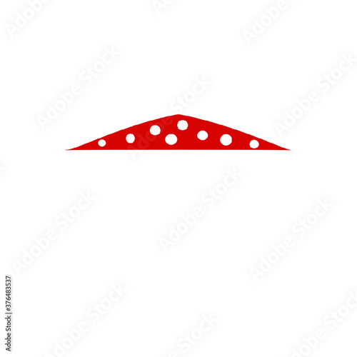 Fliegenpilz