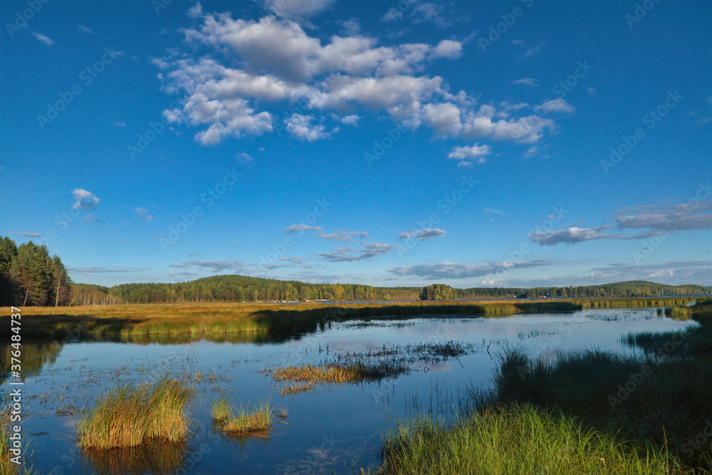 Summer landscape, forest trees are reflected in calm river water against a background of blue sky and white clouds.