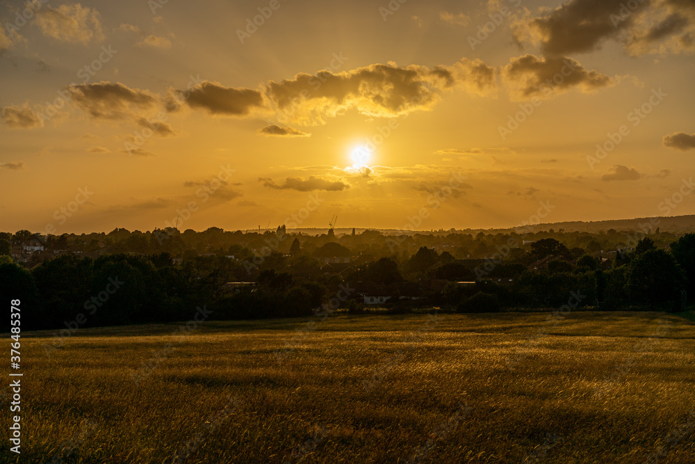 sunset over the field with beautiful rays of the sun spanning the width of the picture