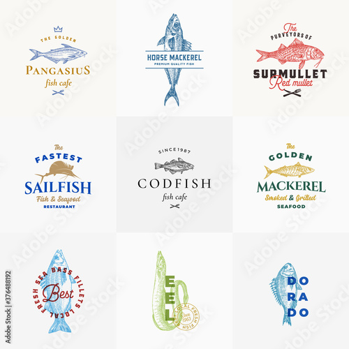 Premium Quality Seafood Vector Signs or Logo Templates Collection. Hand Drawn Fish Sketches with Typography, Surmullet, Eel, Sailfish, Cod, Dorado, Mackerel etc. Emblems bundle.