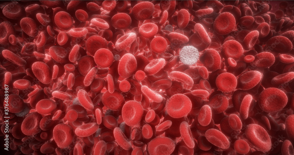 Erythrocytes and Leukocytes. Red and White Blood Cells in an Artery. 3D Illustration of Blood Cells Traveling Through a Vein. Erythrocytes and Leukocytes. Red and White Blood Cells in an Artery. 3D Illustration of Blood Cells Traveling Through a Vein.