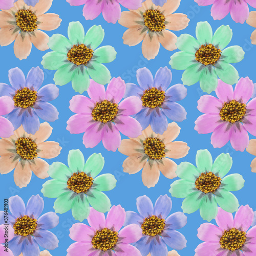 Cosmos, kosmeya. Illustration, texture of flowers. Seamless pattern. Floral background, photo collage for production of textile, cotton fabric. For wallpaper, covers
