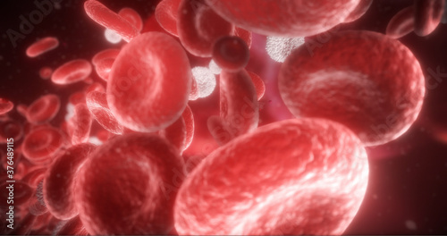 Erythrocytes and Leukocytes. Red and White Blood Cells in an Artery. 3D Illustration of Blood Cells Traveling Through a Vein.