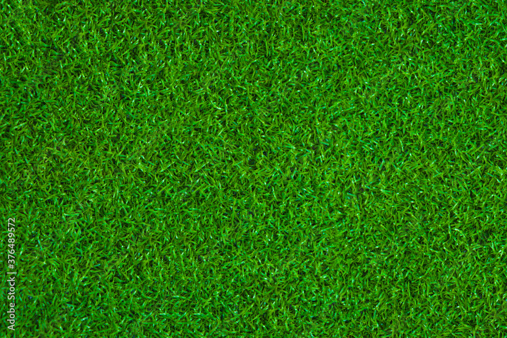 custom made wallpaper toronto digitalClose up of green grass, natural material and surface concept, texture for background.