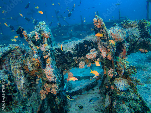 Iron lifting mechanism covered with corals on a sunken ship