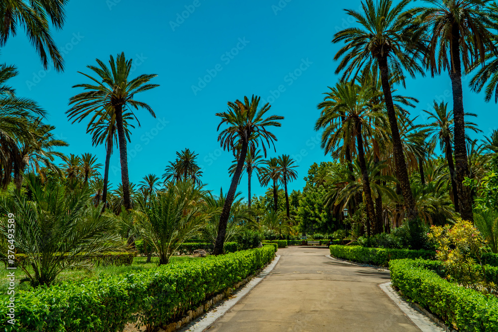 Park Villa Bonanno, an urban park with palm trees and exotic plants in Palermo, Sicily, Italy