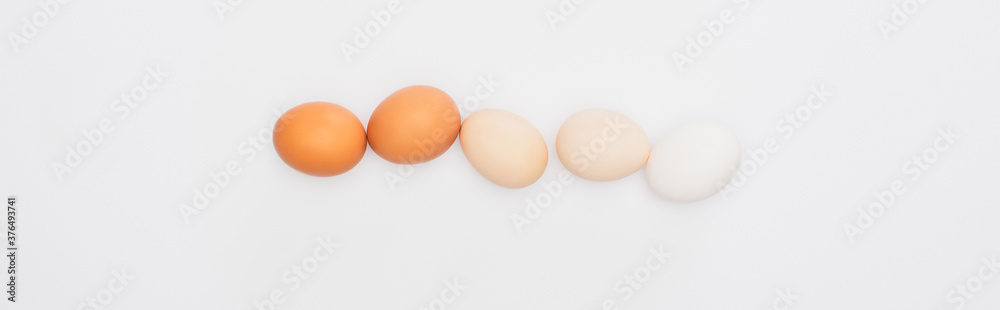 top view of fresh chicken eggs isolated on white, panoramic shot top view of fresh chicken eggs isolated on white, panoramic shot