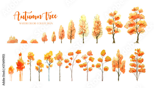 Autumn Tree and bush water color painting collection. 