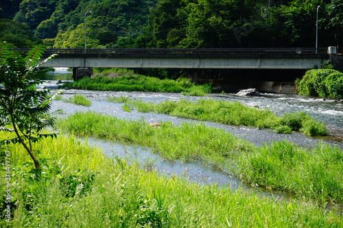 田舎の風景