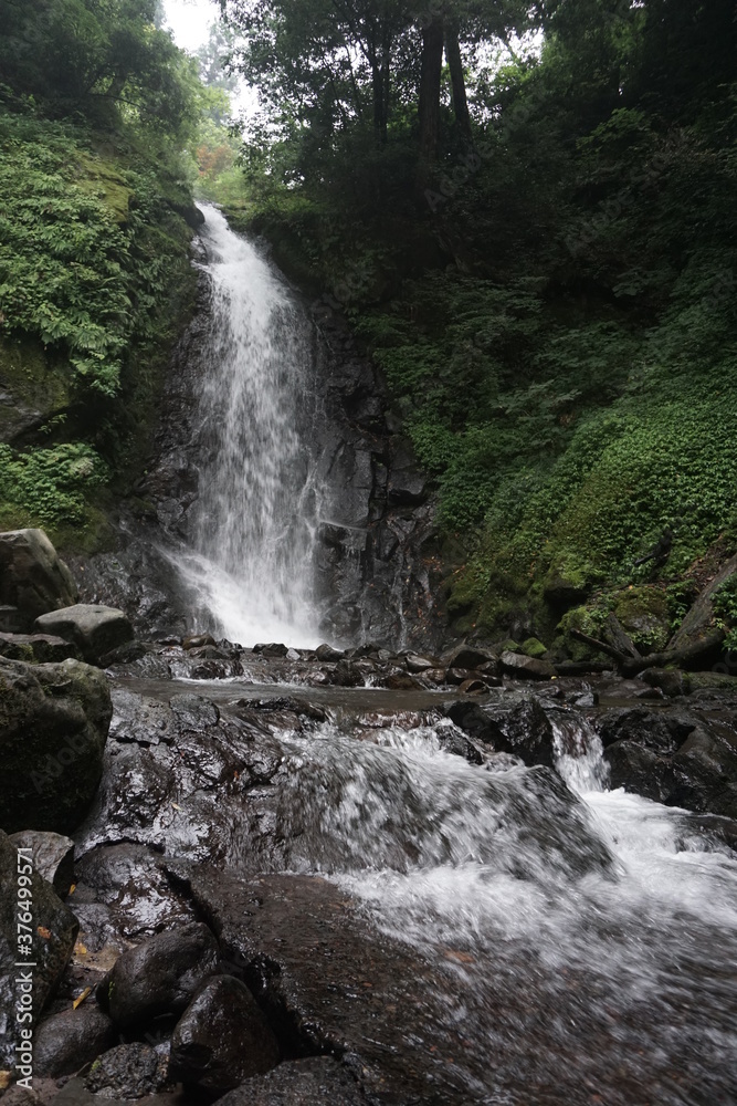 Fototapeta premium 滝