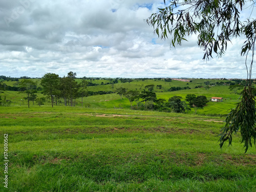 Paisagem do horizonte 