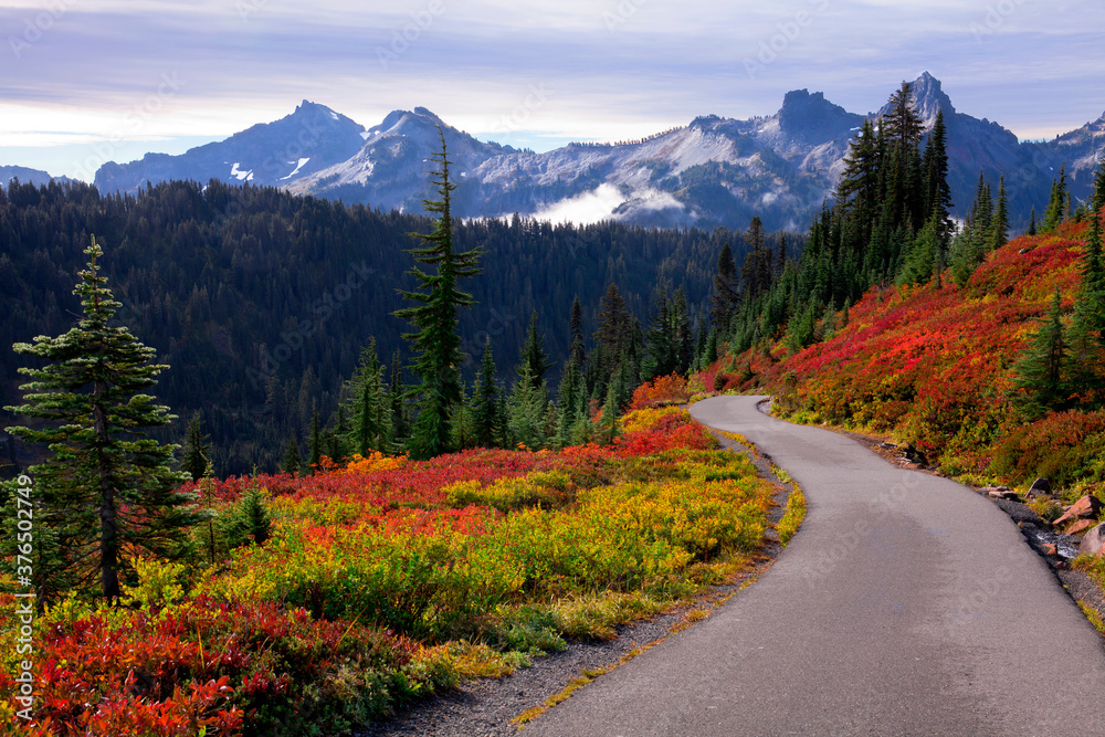Beautiful autumn colors at Mt. Rainier National Park in Washington state
