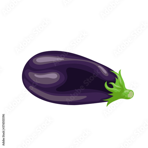 Fresh eggplant in cartoon style. Fresh violet whole vegetable. Farm fresh. Vector illustration isolated on white background.