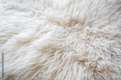 Texture of natural sheep wool. White soft warm background