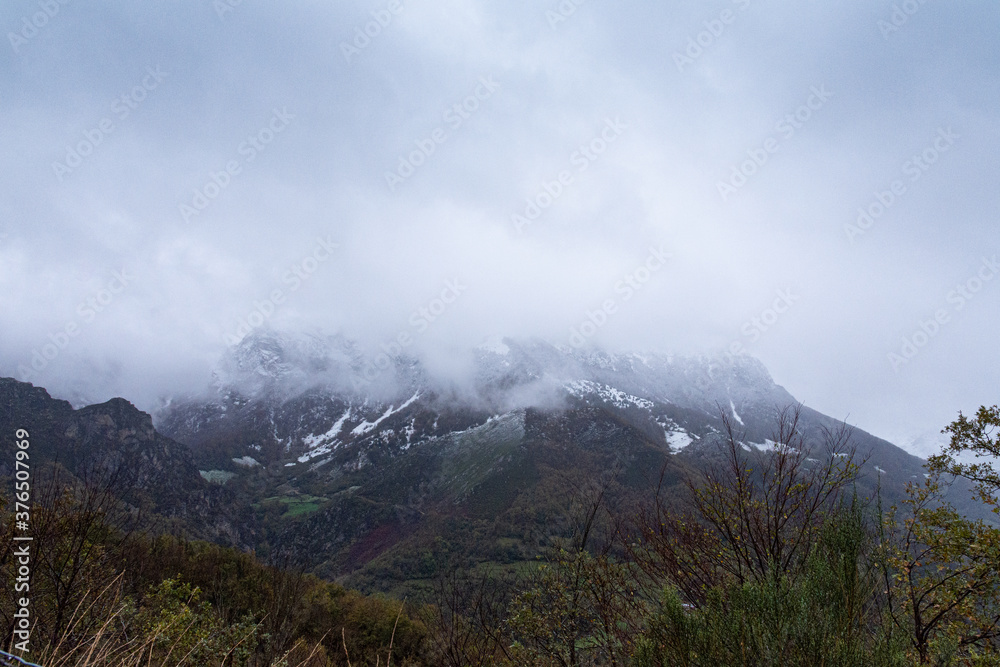 fog in the mountains