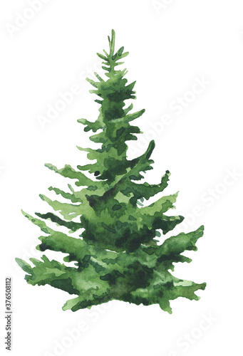 Watercolor Christmas tree on white background isolated