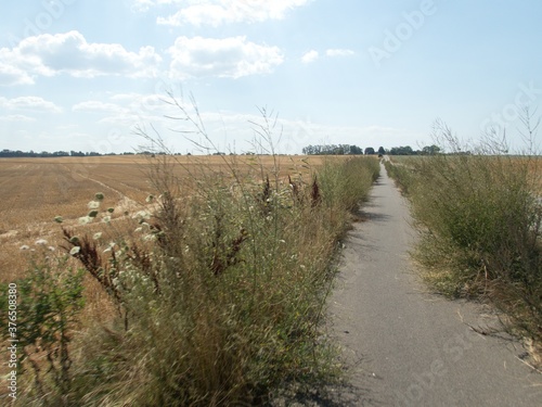 travel on the road in central europe photo