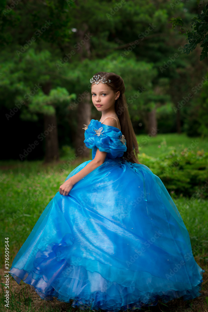 Beautiful little girl in a feiry princes dress