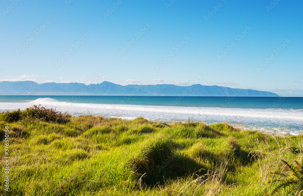 New Zealand coast