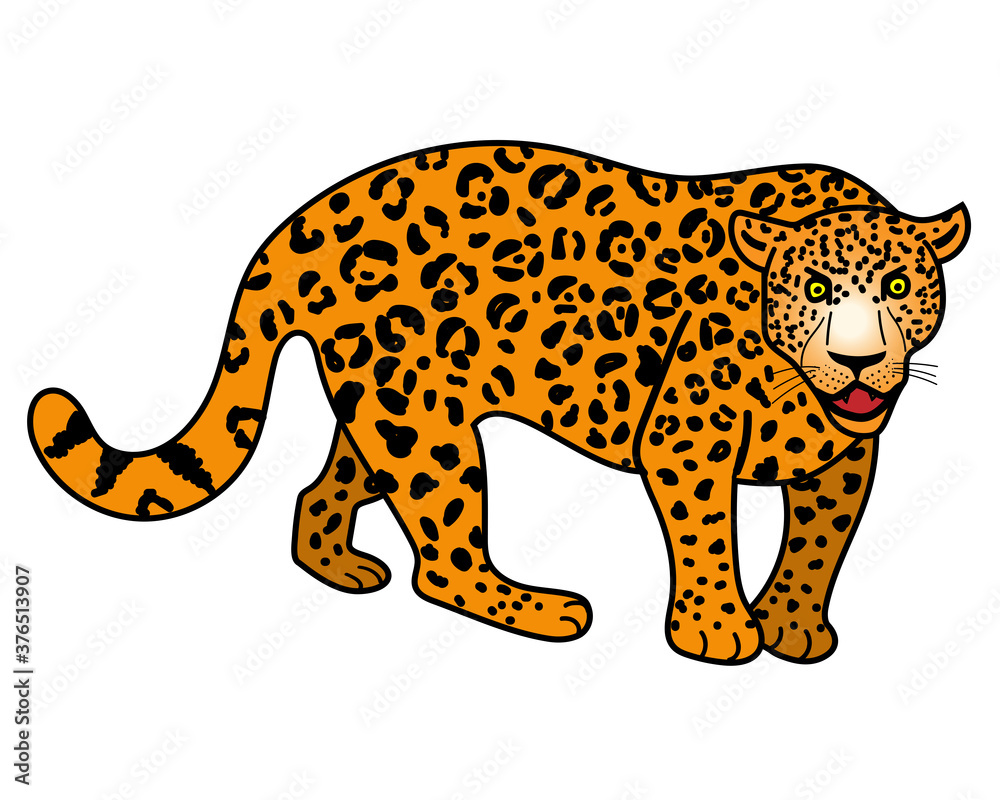 Leopard. Cartoon style. Vectot illustration isolated. Leopard. Cartoon style. Vectot illustration isolated.