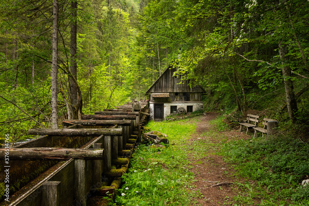 An old mill in the middle of the forest An old mill in the middle of the forest
