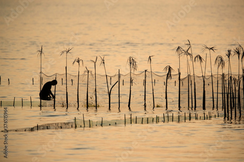 Silhouette of fishermen collecting fish during low tide from traditional fishing net Hadrah installed at Busiateen coast during sunset, Bahrain photo