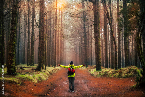Concept of freedom and exploring the world - no deforestation message with standing people open arms in front of a beautiful high trees forest in travel outdoor leisure activity photo