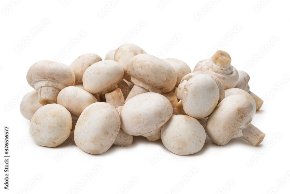 Champignon mushroom isolated on white background. Champignon mushroom isolated on white background.