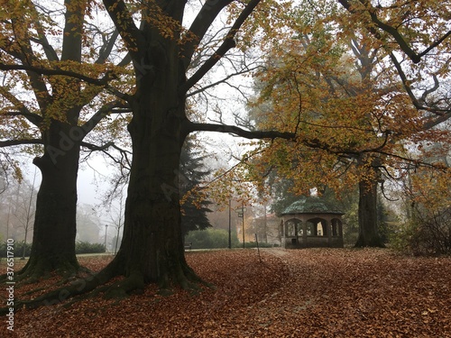 Park zdrojowy - centrum Kudowa-Zdrój photo