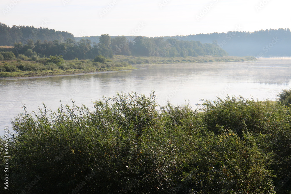 View of the misty river from the morning in summer