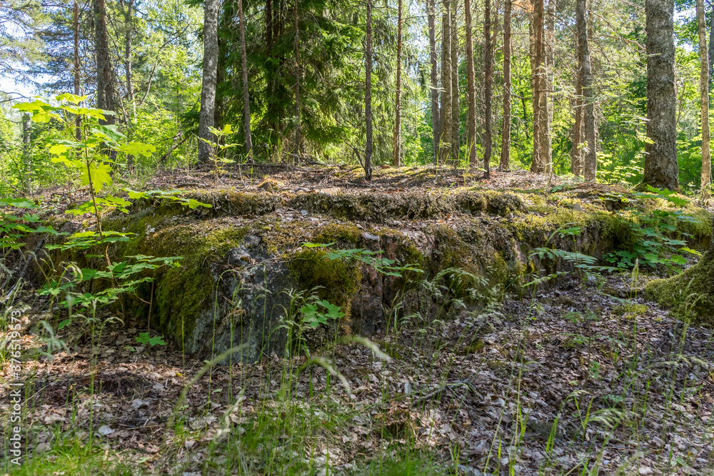 Remains of foundations of Finnish houses in the Leningrad region Remains of foundations of Finnish houses in the Leningrad region