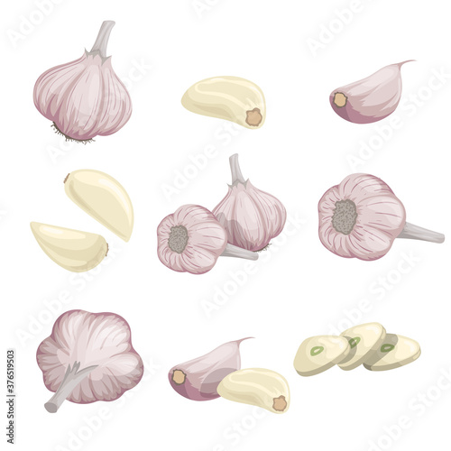 Cartoon garlics set. Whole garlic, peeled, cloves and garlic groups. Flat simple design. Vector illustrations collection isolated on white background.