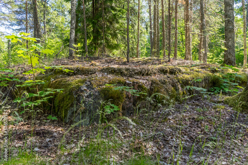 Remains of foundations of Finnish houses in the Leningrad region