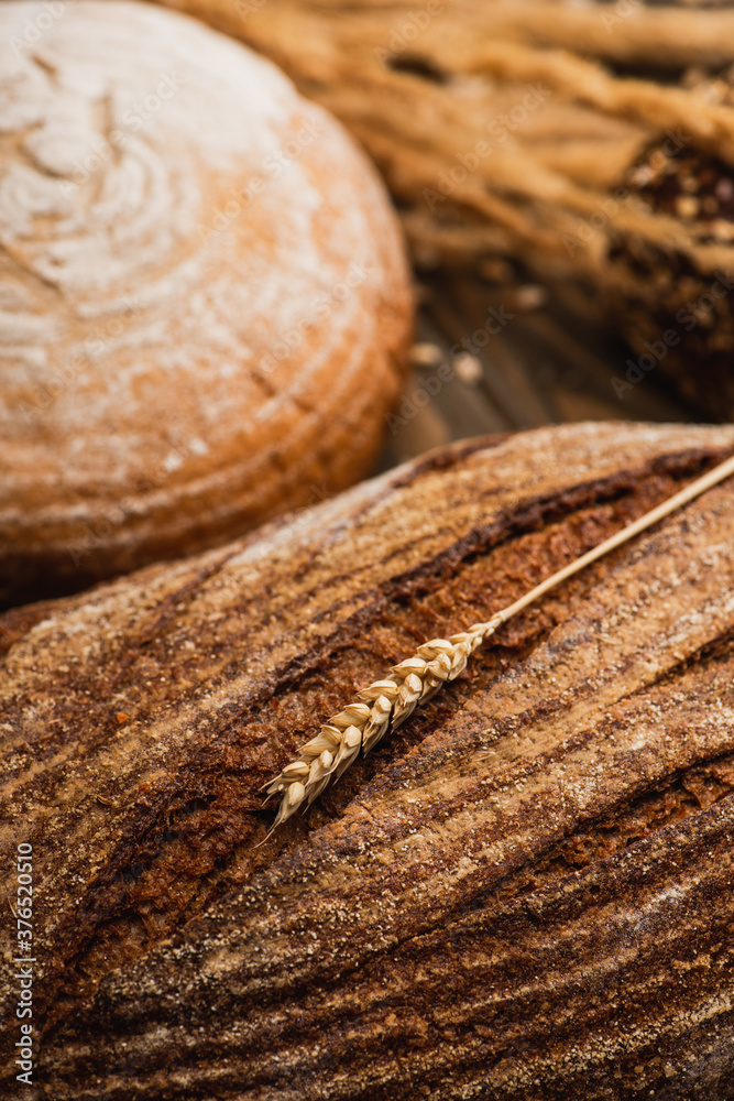 selective focus of fresh baked bread loaves with spikelet