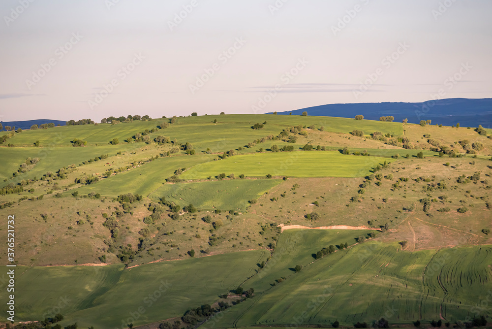 Fototapeta premium Aerial view of endless lush pastures and farmlands of Turkey. Rural landscape on sunset.