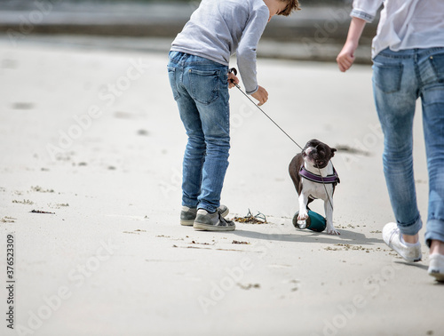Boy and Boston Terrier on Vacation in Brittany France
