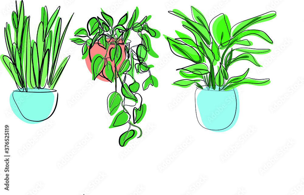 pack tres plantas caseras dibujadas en vectorial al estilo one line.
