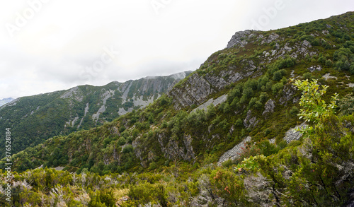 beautiful panoramic view of a mountain with a plant in the foreground in Asturias, Spain