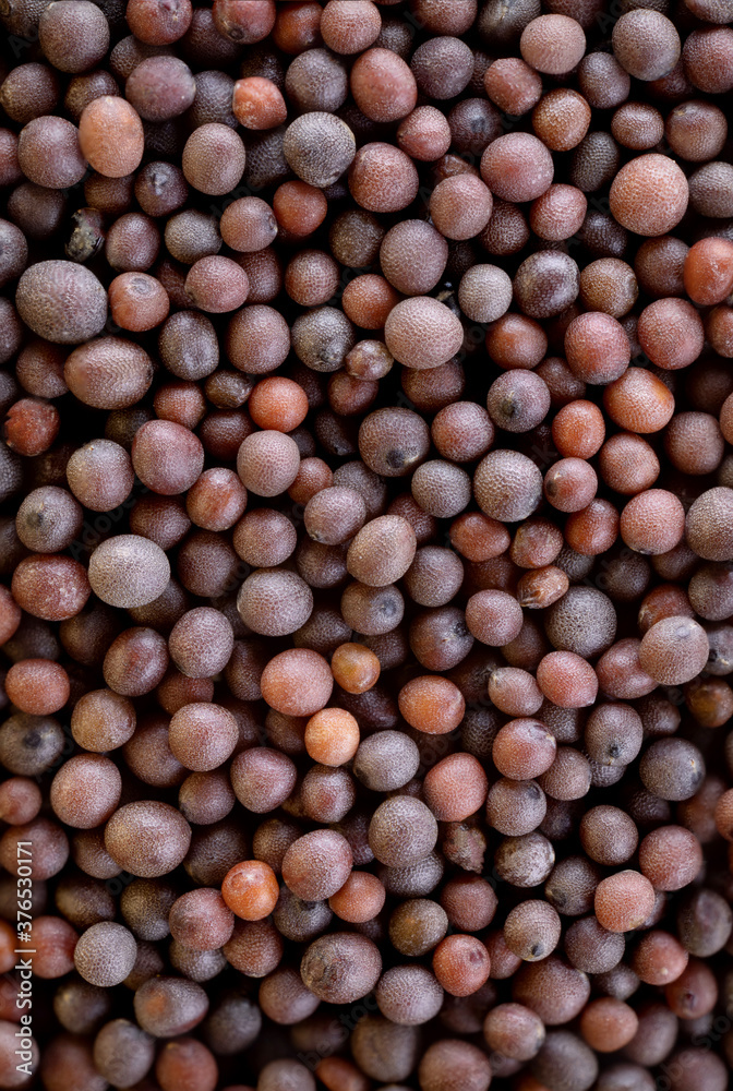 super macro shot of exotic spice brown mustard from India in details vey close. Ideal food spice background super macro shot of exotic spice brown mustard from India in details vey close. Ideal food spice background