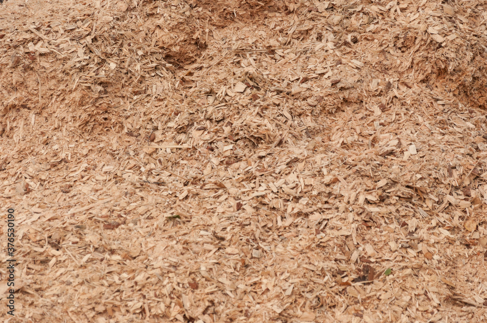 Top view. Saw dust texture, close-up background of yellow sawdust. Top view. Saw dust texture, close-up background of yellow sawdust.