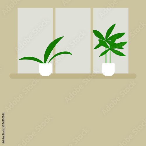 Window and window sill with plants