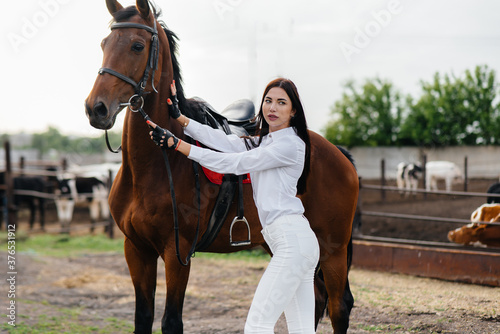 A young pretty girl rider poses near a thoroughbred stallion on a ranch. Horse riding, horse racing © Andrii