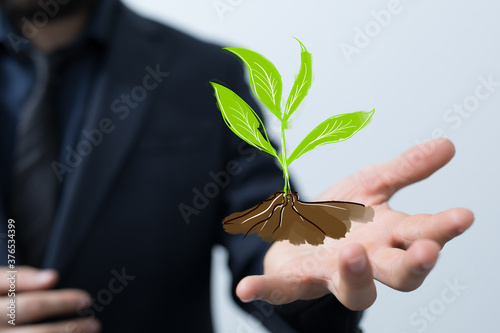 green plant growing up digital